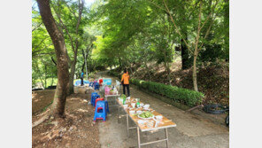 해남서 식사하던 산악동호회 회원 29명 말벌에 쏘여…전원 병원 이송