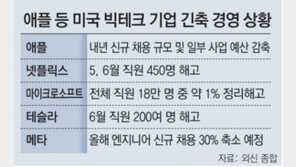 시총 1위 애플마저 내년 채용 축소-긴축 경영