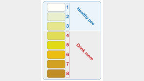 여름철 소변으로 파악하는 ‘물 부족’ 신호들