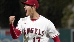 ‘이도류’ 오타니, 2년 연속 20홈런…MLB 개인 통산 세번째