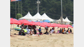 내주부터 본격 ‘찜통 더위’…수요일 오후까지 곳곳 소나기