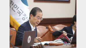 행안부 경찰국 신설안, 국무회의 의결…내달 2일 시행