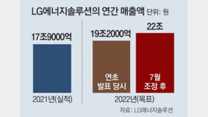 LG엔솔 “올 매출 목표 19조 → 22조 상향”