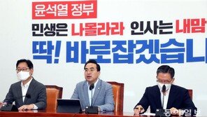 민주 사개특위 “與, 여야 합의 정신 입각해 논의 참석하라”