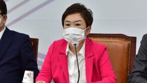 정미경 “윤핵관, 세게 밀어붙이는 듯” 김용태 “여당이 심부름센터냐”