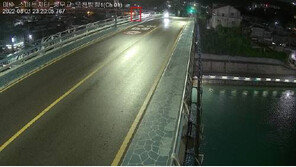 한밤중 대교 위 왔다갔다…극단적 선택 직전 AI가 구조했다