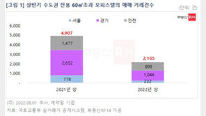 ‘아파텔 대체’ 전용 60㎡초과 오피스텔 ‘싸늘’…서울 상반기 거래량 역대 최소