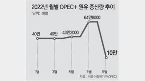 OPEC+ 내달 원유 찔끔 증산… “바이든, 사우디에 뺨 맞은 격”