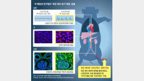 1시간 전 죽은 돼지 심장 다시 뛰게 했다