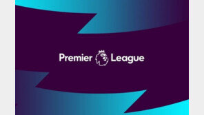 EPL 의무적으로 성교육 받는다…손흥민·황희찬도 대상