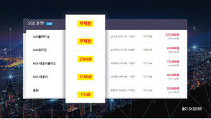 [김 소장의 ‘핏(FIT)’] 첫 중간요금제 등장, 데이터 사용량은 24GB라고?