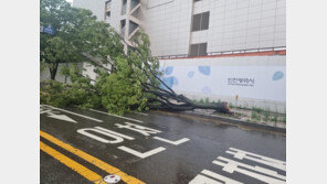 인천 폭우로 10분 새 피해신고 27건→44건 급증…도로·상가·주택 침수