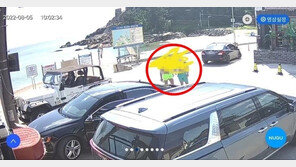 ‘고성 카니발’ 옆집도 당했다…물놀이男 2명 침입 수족관 수도로 샤워