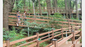 ‘무장애나눔길’서 시원한 산책