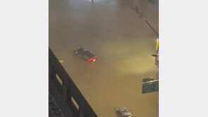 반쯤 잠긴 차 본닛 위로 피신…폭우에 ‘물바다’된 강남