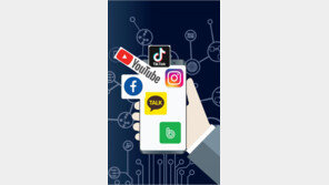 네카오 토종 SNS, 인스타-틱톡과 ‘영토싸움’