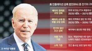 K-배터리, 中소재 의존도 더 커져 ‘탈중국’ 비상 