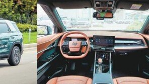 토레스는 가성비王