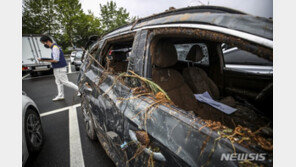 車 침수 추정손해액, 1200억원 돌파…역대 최대치