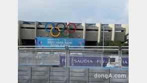 “EQ팀 포뮬러E 우승 자축하는 모습”… 벤츠코리아, 잠실 ‘2022 월드 디제이 페스티벌’ 후원