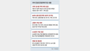 20개 추석 성수품 공급 1.4배 확대… 가격 작년 수준으로 낮춘다 