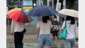 카페서 비닐우산 놓고 남의 우산 훔친 女…붙잡히자 “도둑? 입조심” 버럭