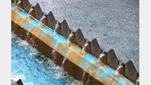 전국 27개 정수장서 깔따구 유충 발견…“수돗물 위생관리 대책 보완”