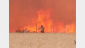스페인 산불 한복판에 선 ‘공포의 열차’…20여 명 부상