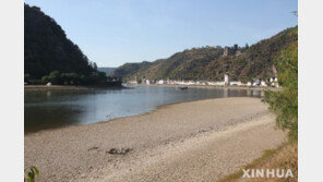 라인강 말라가는데…獨, 가뭄 속 불꽃놀이 강행 ‘빈축’