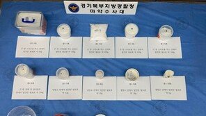 태국 전통의상에 숨겨 마약 밀반입…510억원어치 압수