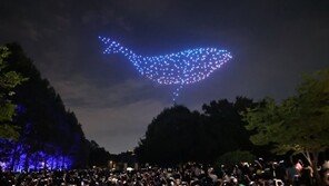서울숲에 뜬 고래… “해양생물 보호” 드론쇼