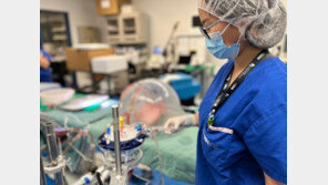 A형-B형 폐-신장 혈액형이 O형으로 변신… 장기이식 걸림돌 사라진다