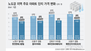 12억 찍었던 아파트값, 9억으로 ‘뚝’…노·도·강 패닉 장세