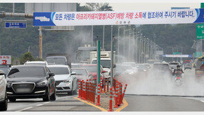 강원 양구서 올해 2번째 아프리카돼지열병 발생…5600여마리 살처분