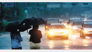 서울 시간당 30mm 장대비 쏟아져… 중-남부 오늘 오후까지 비