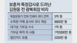 보훈처 “출판비 과다견적 등 김원웅 8억대 비리 또 적발”
