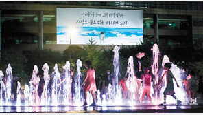 [고양이 눈]여기가 바다