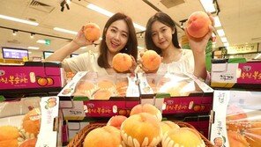 올여름 과일왕은 복숭아…수박 제치고 가장 많이 팔려