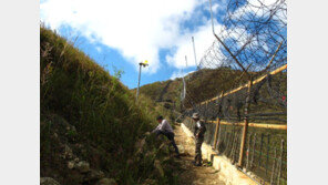 ‘한반도 식물의 보고’ DMZ… 훼손된 산림생태계 복원 절실 