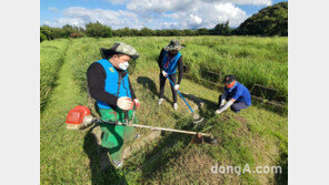농협, 추석 앞두고 산소 벌초대행 서비스 운영