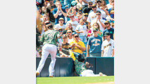 펜스로 몸 날린 ‘유격수 김하성’