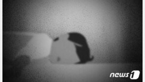 방에서 혼자 놀던 6세 여아…아파트 15층서 추락 숨져