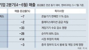 현실로 돌아간 게이머들… 글로벌 게임시장 ‘직격탄’