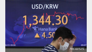 尹에 이어 외환·금융당국 경고에도…고삐 풀린 환율