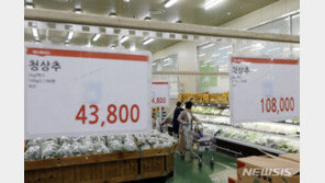 폭우에 ‘金상추’·‘시金치’…기대인플레 꺾였지만 채소 값은 고공행진