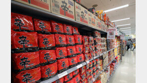 ‘24년 만에 국내시장 적자’ 농심, 1년만에 라면 가격 인상 나선다