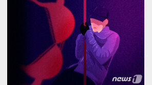 익산 원룸 성폭행범, 거리에서 범행대상 물색…가스배관 타고 올라가
