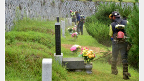 추석 앞두고 벌초