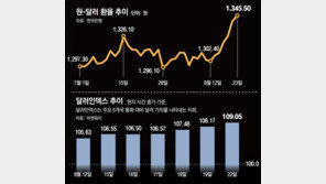 브레이크 없는 환율… 당국 “투기요인 점검” 경고도 안먹혀