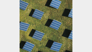 증시 반등 이끈 ‘태조 이방원’… 성장 가능성 높은 ‘GET’주였다